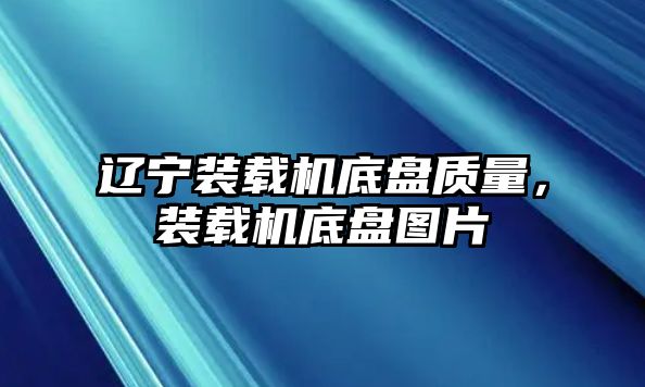 遼寧裝載機底盤質(zhì)量，裝載機底盤圖片