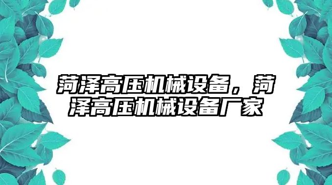 菏澤高壓機械設(shè)備，菏澤高壓機械設(shè)備廠家