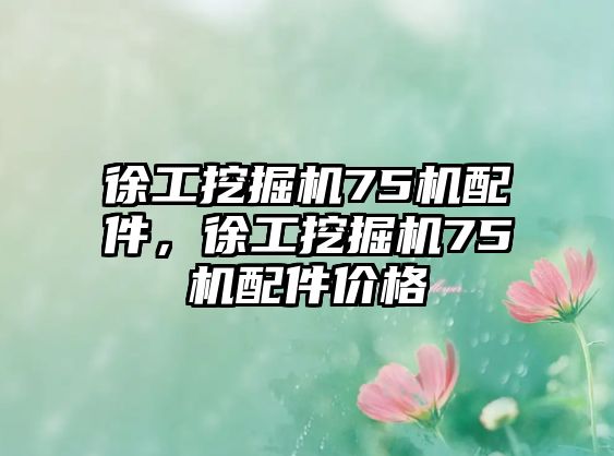 徐工挖掘機75機配件，徐工挖掘機75機配件價格