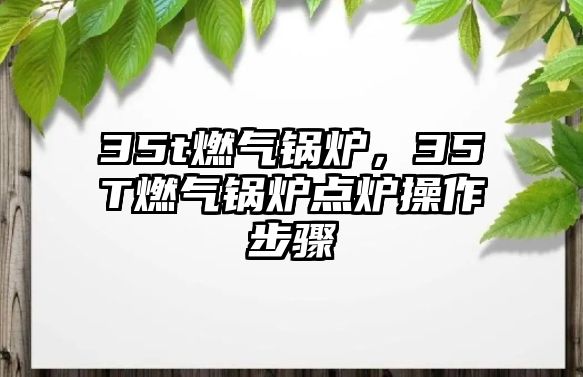 35t燃?xì)忮仩t，35T燃?xì)忮仩t點(diǎn)爐操作步驟