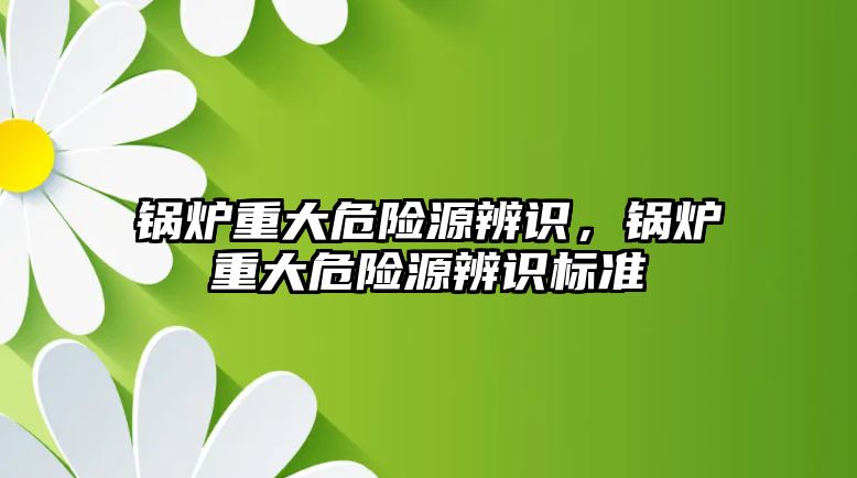 鍋爐重大危險源辨識，鍋爐重大危險源辨識標準