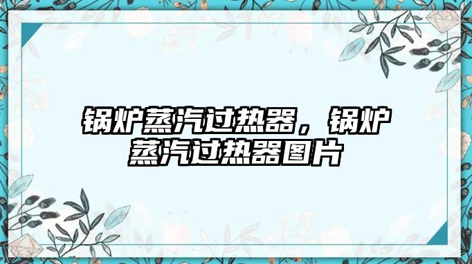 鍋爐蒸汽過熱器，鍋爐蒸汽過熱器圖片