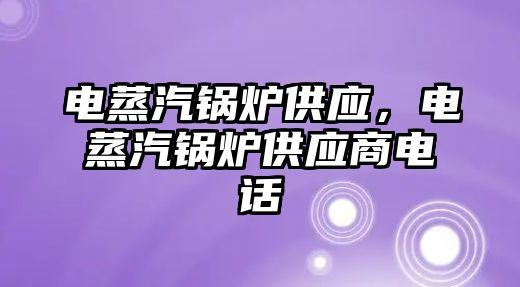 電蒸汽鍋爐供應(yīng)，電蒸汽鍋爐供應(yīng)商電話