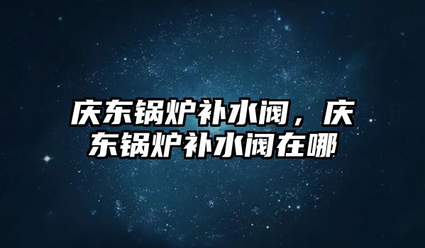 慶東鍋爐補水閥，慶東鍋爐補水閥在哪