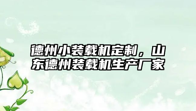 德州小裝載機定制，山東德州裝載機生產廠家