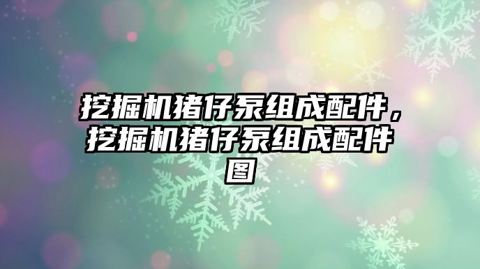 挖掘機豬仔泵組成配件，挖掘機豬仔泵組成配件圖