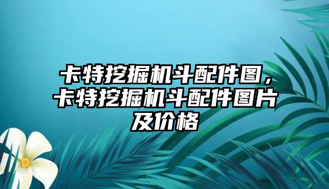 卡特挖掘機(jī)斗配件圖，卡特挖掘機(jī)斗配件圖片及價(jià)格