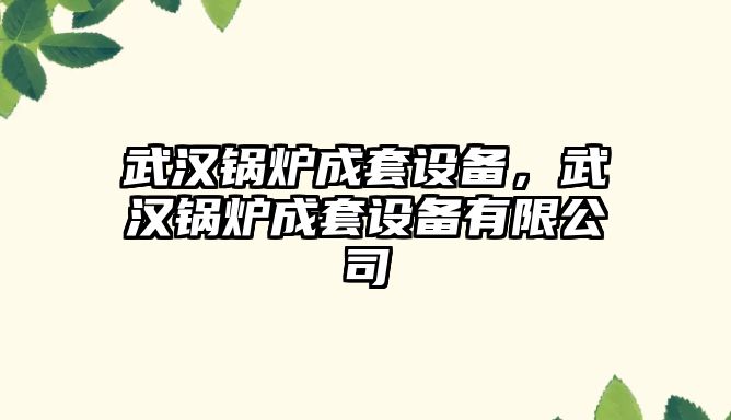 武漢鍋爐成套設備，武漢鍋爐成套設備有限公司