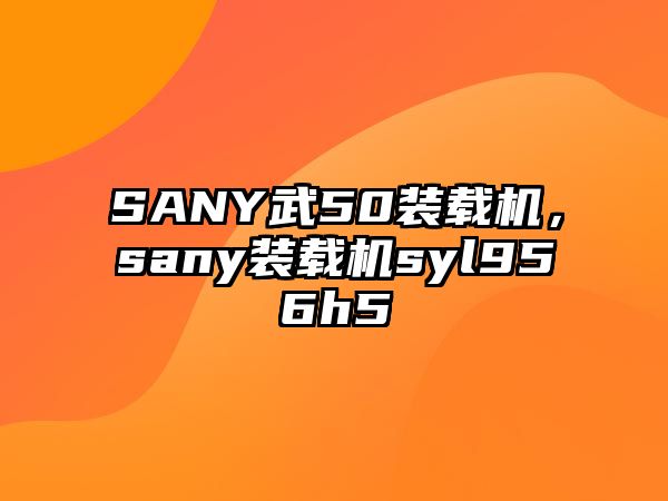 SANY武50裝載機(jī)，sany裝載機(jī)syl956h5