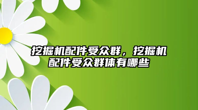 挖掘機配件受眾群，挖掘機配件受眾群體有哪些