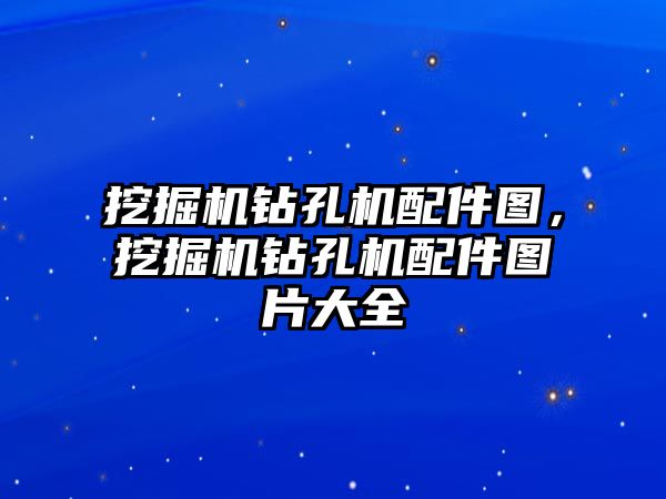 挖掘機鉆孔機配件圖，挖掘機鉆孔機配件圖片大全