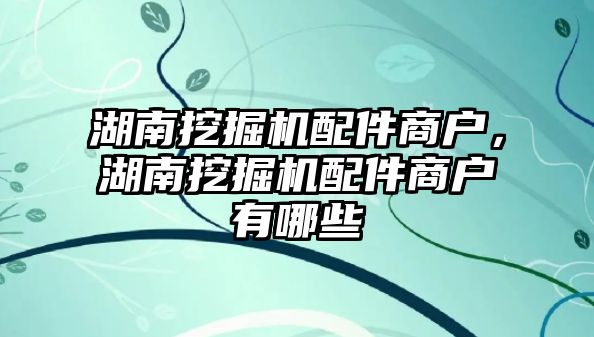 湖南挖掘機配件商戶，湖南挖掘機配件商戶有哪些