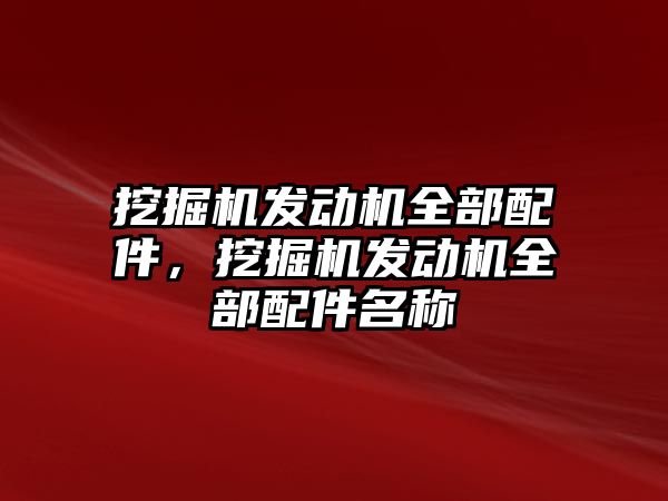 挖掘機發(fā)動機全部配件，挖掘機發(fā)動機全部配件名稱