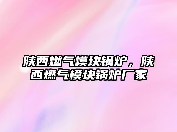 陜西燃?xì)饽K鍋爐，陜西燃?xì)饽K鍋爐廠家