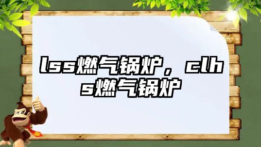 lss燃?xì)忮仩t，clhs燃?xì)忮仩t