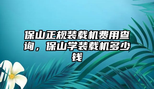 保山正規(guī)裝載機費用查詢，保山學裝載機多少錢