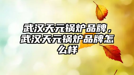 武漢天元鍋爐品牌，武漢天元鍋爐品牌怎么樣