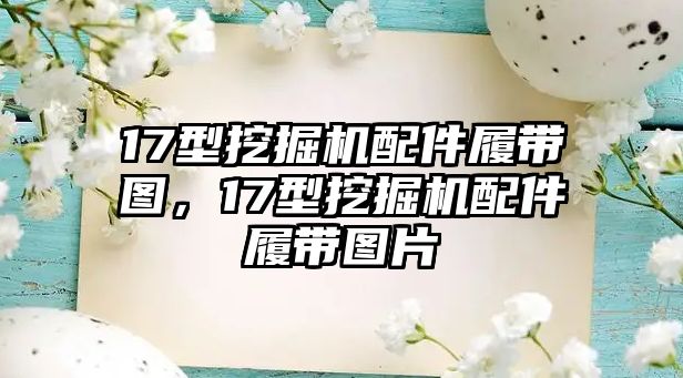 17型挖掘機(jī)配件履帶圖，17型挖掘機(jī)配件履帶圖片