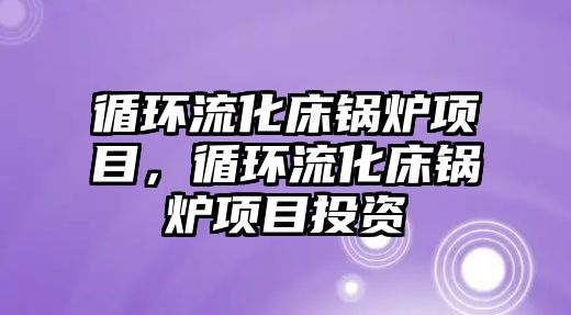 循環(huán)流化床鍋爐項目，循環(huán)流化床鍋爐項目投資