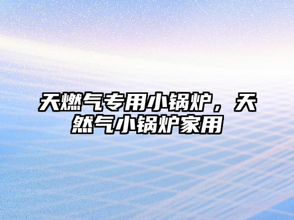 天燃?xì)鈱Ｓ眯″仩t，天然氣小鍋爐家用