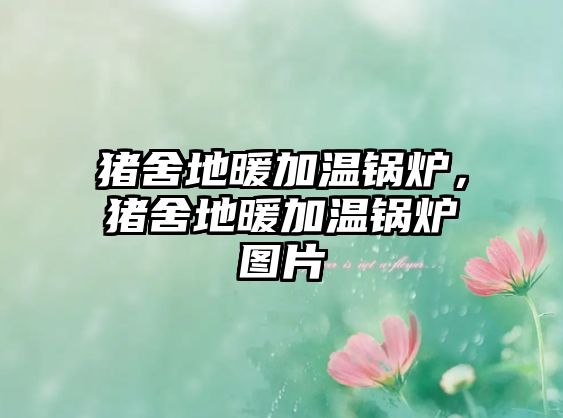 豬舍地暖加溫鍋爐，豬舍地暖加溫鍋爐圖片