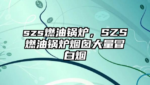 szs燃油鍋爐，SZS燃油鍋爐煙囪大量冒白煙