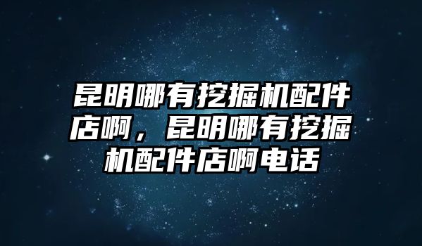 昆明哪有挖掘機配件店啊，昆明哪有挖掘機配件店啊電話