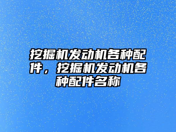 挖掘機發(fā)動機各種配件，挖掘機發(fā)動機各種配件名稱