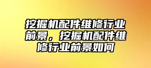 挖掘機配件維修行業(yè)前景，挖掘機配件維修行業(yè)前景如何