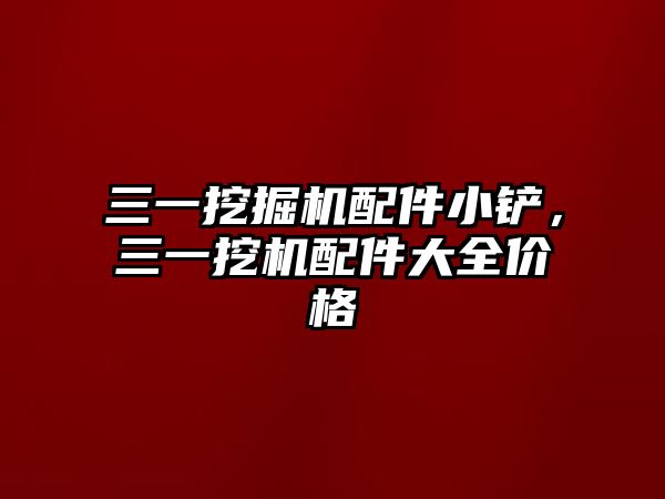 三一挖掘機配件小鏟，三一挖機配件大全價格