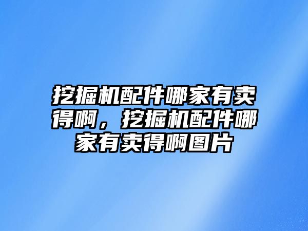 挖掘機配件哪家有賣得啊，挖掘機配件哪家有賣得啊圖片