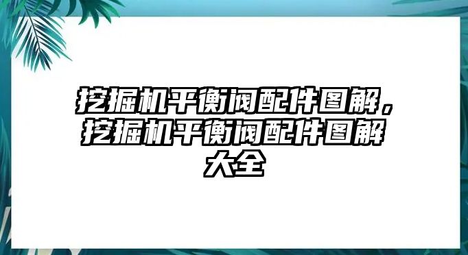 挖掘機平衡閥配件圖解，挖掘機平衡閥配件圖解大全