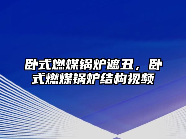 臥式燃煤鍋爐遮丑，臥式燃煤鍋爐結(jié)構(gòu)視頻