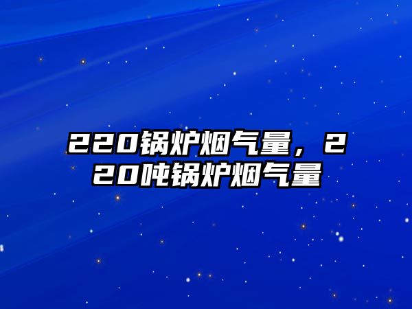 220鍋爐煙氣量，220噸鍋爐煙氣量