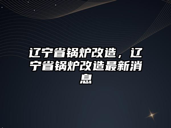 遼寧省鍋爐改造，遼寧省鍋爐改造最新消息