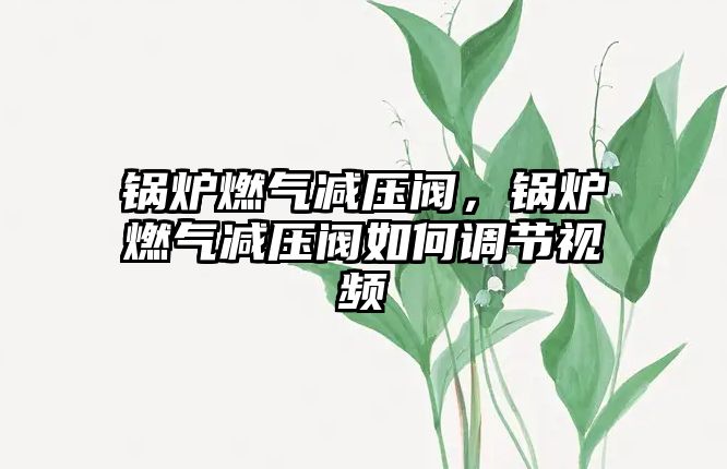 鍋爐燃?xì)鉁p壓閥，鍋爐燃?xì)鉁p壓閥如何調(diào)節(jié)視頻