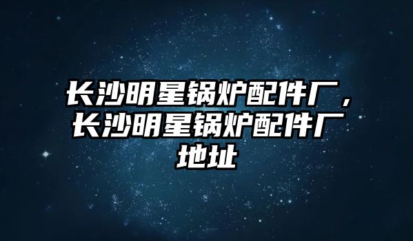 長沙明星鍋爐配件廠，長沙明星鍋爐配件廠地址