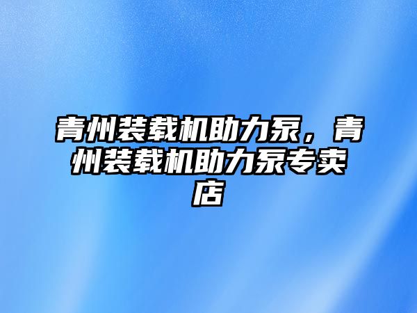 青州裝載機助力泵，青州裝載機助力泵專賣店