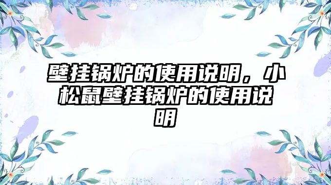 壁掛鍋爐的使用說明，小松鼠壁掛鍋爐的使用說明