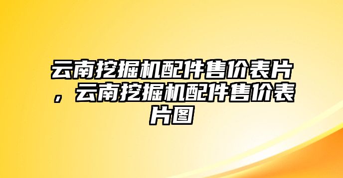 云南挖掘機配件售價表片，云南挖掘機配件售價表片圖