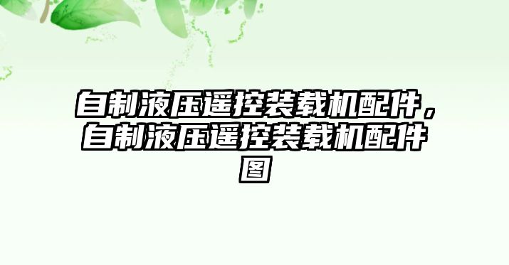 自制液壓遙控裝載機配件，自制液壓遙控裝載機配件圖