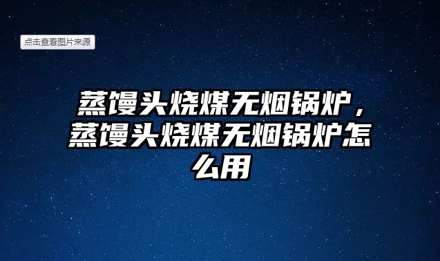 蒸饅頭燒煤無煙鍋爐，蒸饅頭燒煤無煙鍋爐怎么用