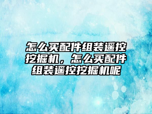 怎么買配件組裝遙控挖掘機，怎么買配件組裝遙控挖掘機呢