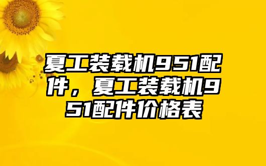 夏工裝載機(jī)951配件，夏工裝載機(jī)951配件價(jià)格表