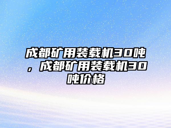 成都礦用裝載機30噸，成都礦用裝載機30噸價格