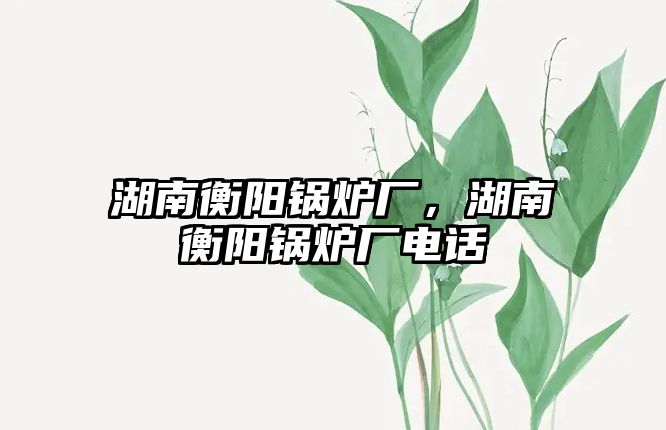 湖南衡陽鍋爐廠，湖南衡陽鍋爐廠電話