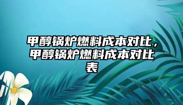 甲醇鍋爐燃料成本對比，甲醇鍋爐燃料成本對比表