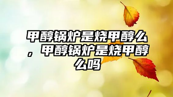 甲醇鍋爐是燒甲醇么，甲醇鍋爐是燒甲醇么嗎