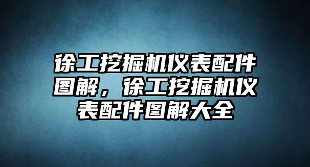 徐工挖掘機儀表配件圖解，徐工挖掘機儀表配件圖解大全