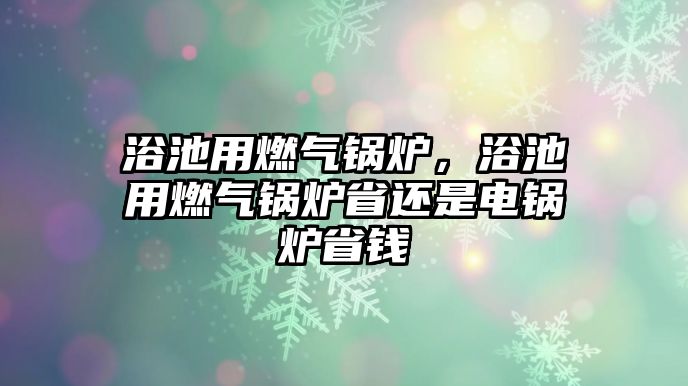 浴池用燃?xì)忮仩t，浴池用燃?xì)忮仩t省還是電鍋爐省錢